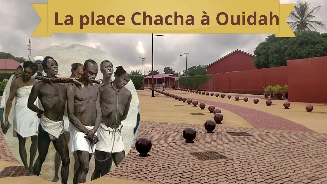 Bénin : vers l'établissement d'un mémorial suite au déracinement de l'arbre de la Place Chacha à Ouidah