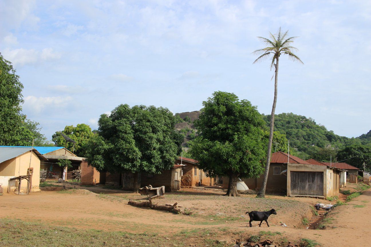 Bénin : une jeune femme retrouvée sans vie dans une brousse à Glazoué