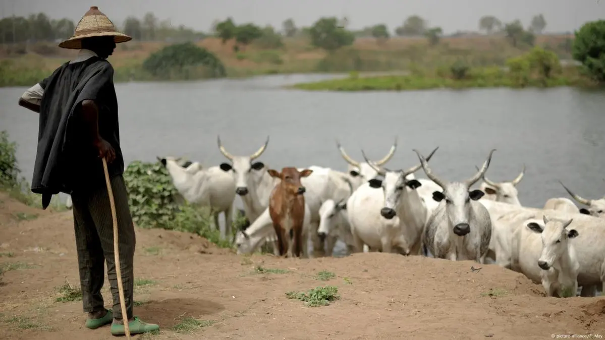 Bénin : un mort dans un conflit entre éleveur et agriculteur à Ouèssè