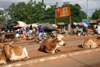 Bamako