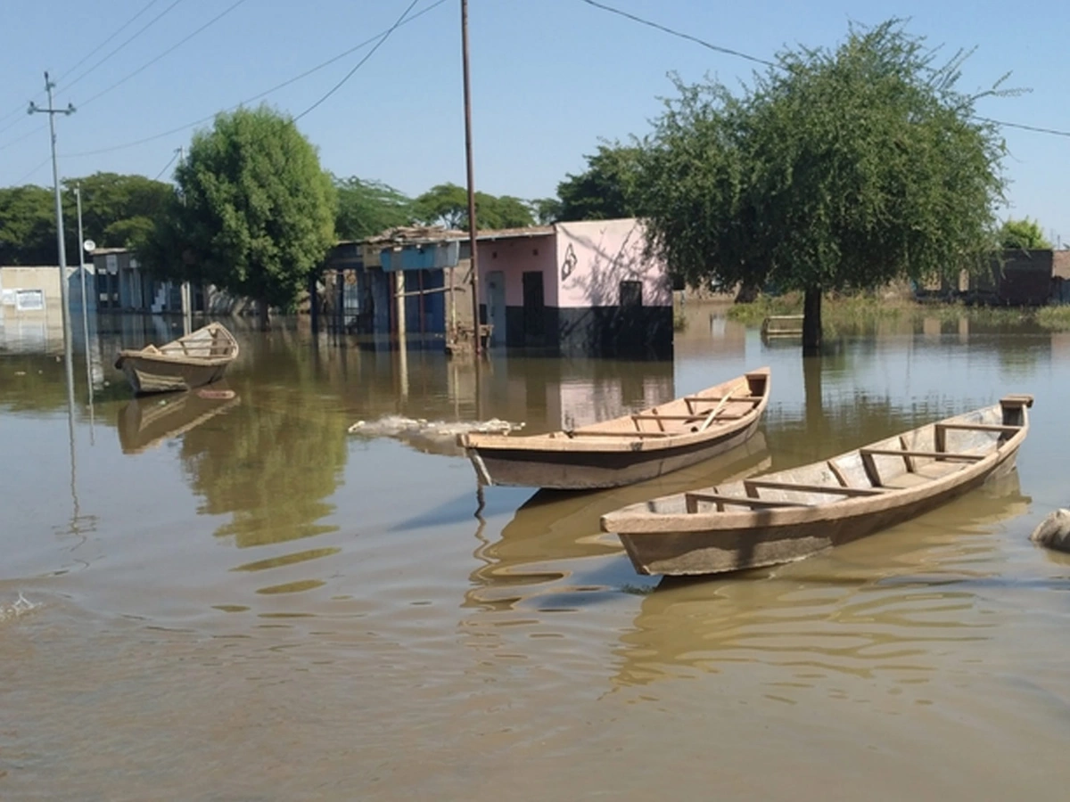 Au Tchad, l'ONU craint une crise alimentaire en raison des inondations