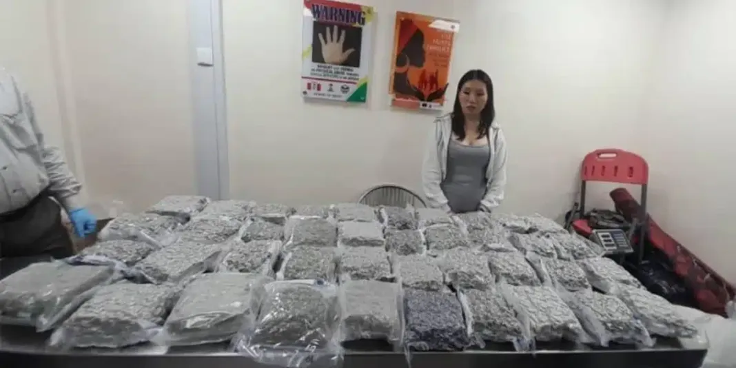 Nigéria : une Canadienne arrêtée à Lagos avec 35 kg de cannabis synthétique