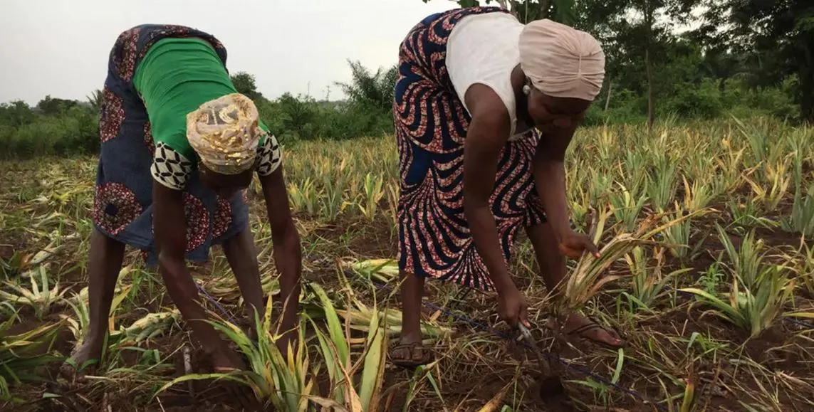 Bénin : le Conseil d'Administration du FNDA se renouvelle