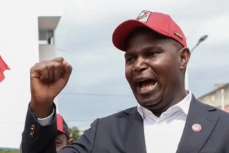 Mozambique : Daniel Chapo élu président, l’opposition dénonce des irrégularités