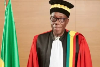 Bénin : Razack Issoufou Amouda désigné par le parlement pour siéger au CES