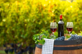 Côte d'Ivoire : leader africain de l'importation de vin avec 72 000 tonnes en 2023