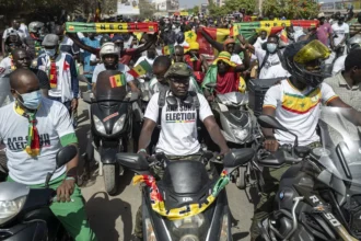 Législatives anticipées au Sénégal : panorama des forces politiques en lice