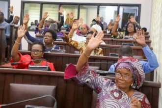 Bénin : les députés adoptent une nouvelle loi sur l'exercice en clientèle privée