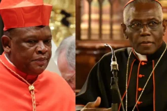 Succession du Pape François : des cardinaux africains parmi les favoris !