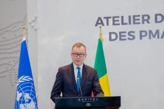 Le Bénin accueille un atelier régional de l'ONU