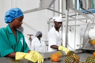 Centre technique agro-alimentaire au Bénin : le gouvernement lance la mission de maîtrise d’œuvre