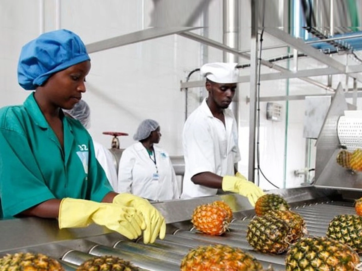 Centre technique agro-alimentaire au Bénin : le gouvernement lance la mission de maîtrise d’œuvre