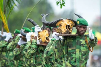Bénin: 221 agents bientôt recrutés au profit des Eaux, Forêts et Chasse