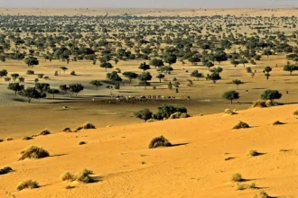 Au Niger, des soldats de la garnison de Termit se sont soulevés contre leur hiérarchie