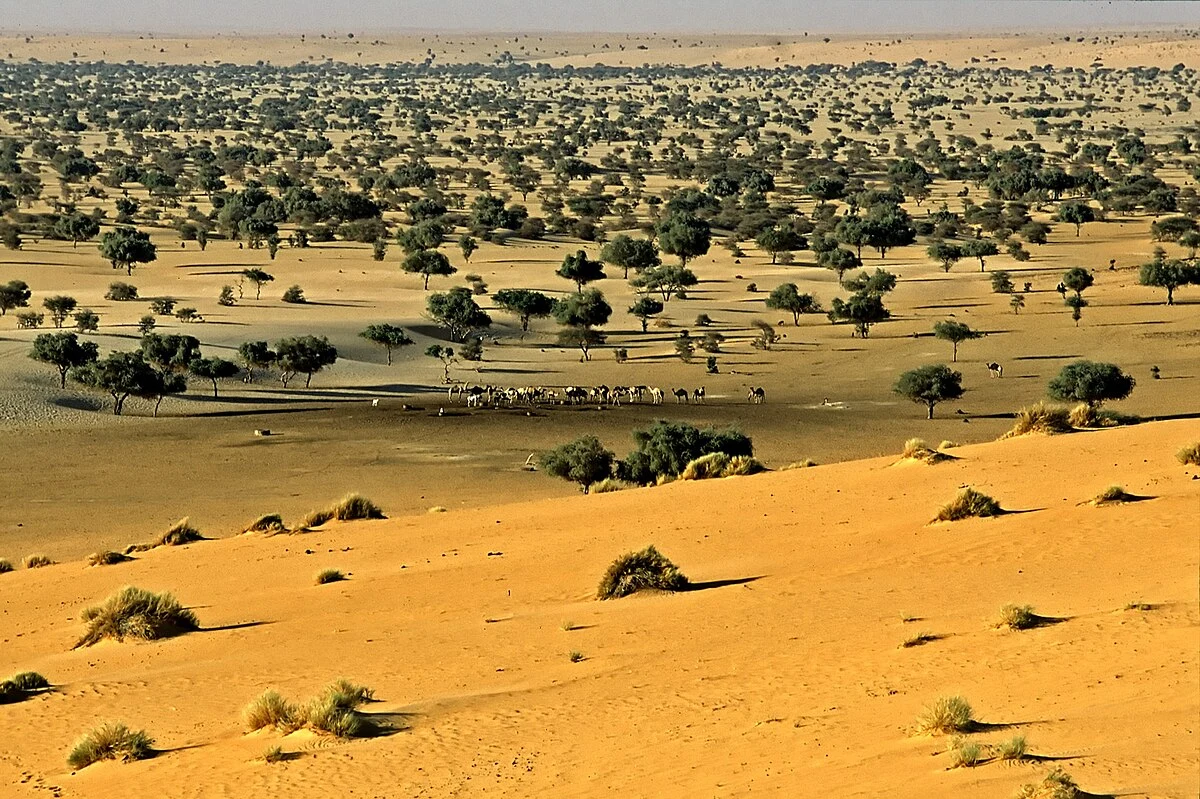 Au Niger, des soldats de la garnison de Termit se sont soulevés contre leur hiérarchie
