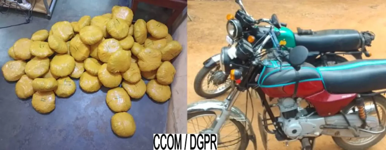Bénin : 34 kg de chanvre indien saisis à Dassa