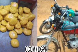 Bénin : 34 kg de chanvre indien saisis à Dassa