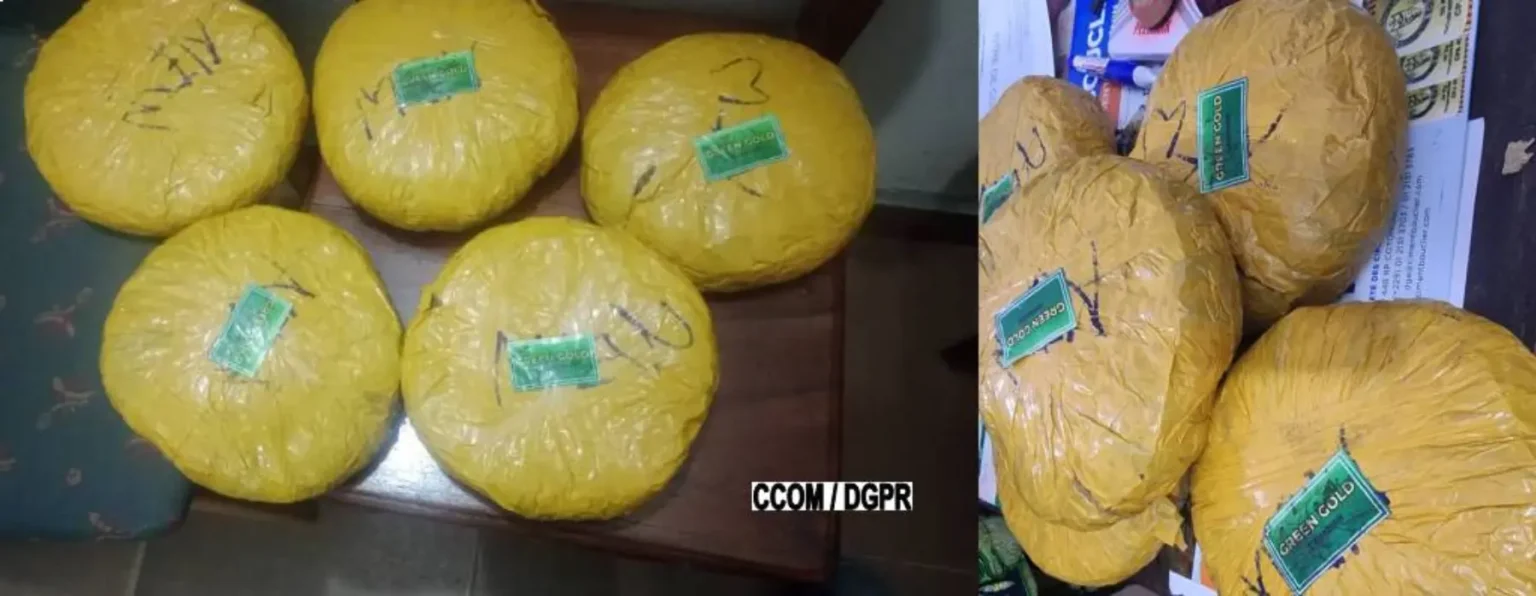 Bénin : des produits psychotropes interceptés à la gare routière de Cotonou