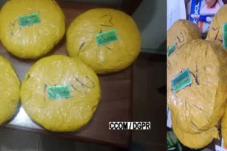 Bénin : des produits psychotropes interceptés à la gare routière de Cotonou