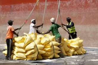 Bénin : plus de 746 000 tonnes de riz importées au premier trimestre 2025