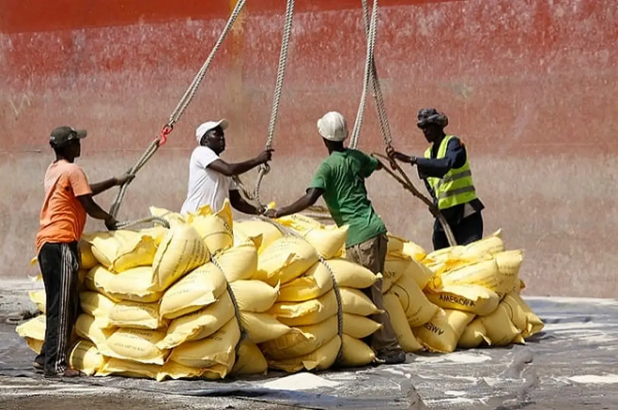 Bénin : plus de 746 000 tonnes de riz importées au premier trimestre 2025