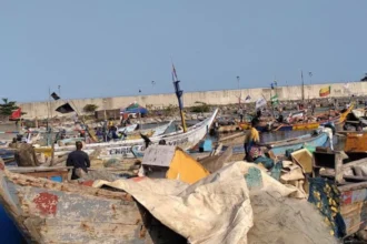 Bénin : plus de 190 hangars bientôt construits au port de pêche de Cotonou