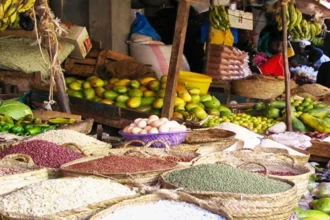 Le Bénin lève l’interdiction d’exportation des produits vivriers