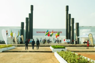 senum 2025