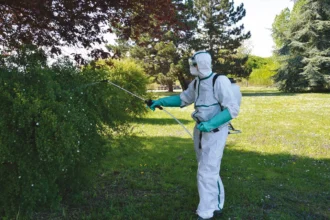 Phytosanitaire : l’État béninois interdit aux services publics de proposer des prestations payantes