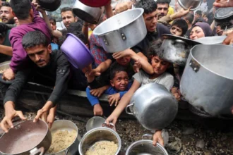 famine à gaza onu