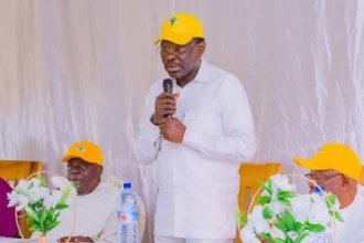 Joseph Djogbenou Romuald Wadagni candidat mouvance