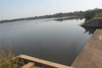 gestion eau bassins niger Volta