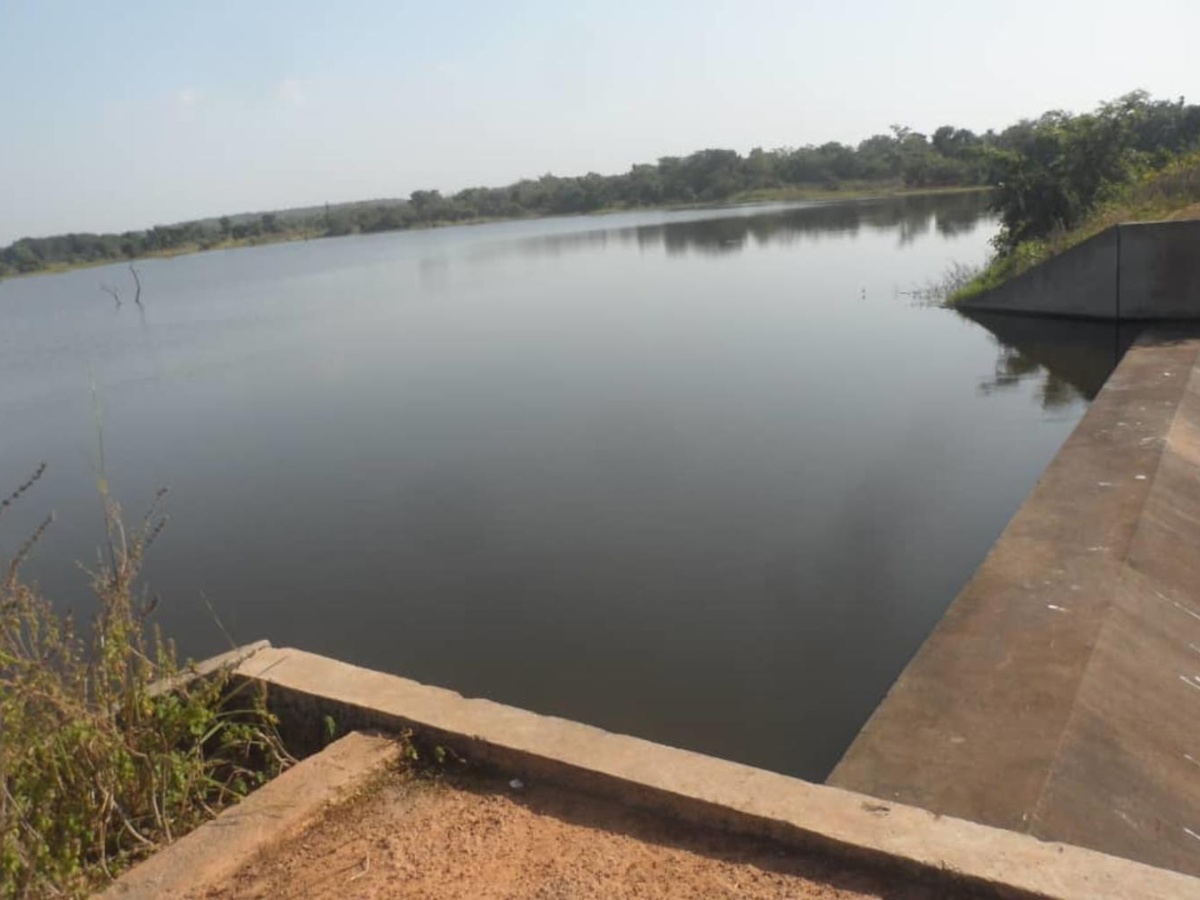 gestion eau bassins niger Volta