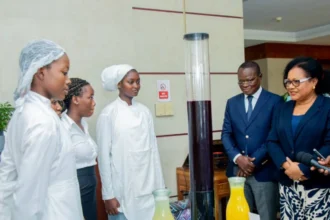 formation technique au bénin véronique tognifodé