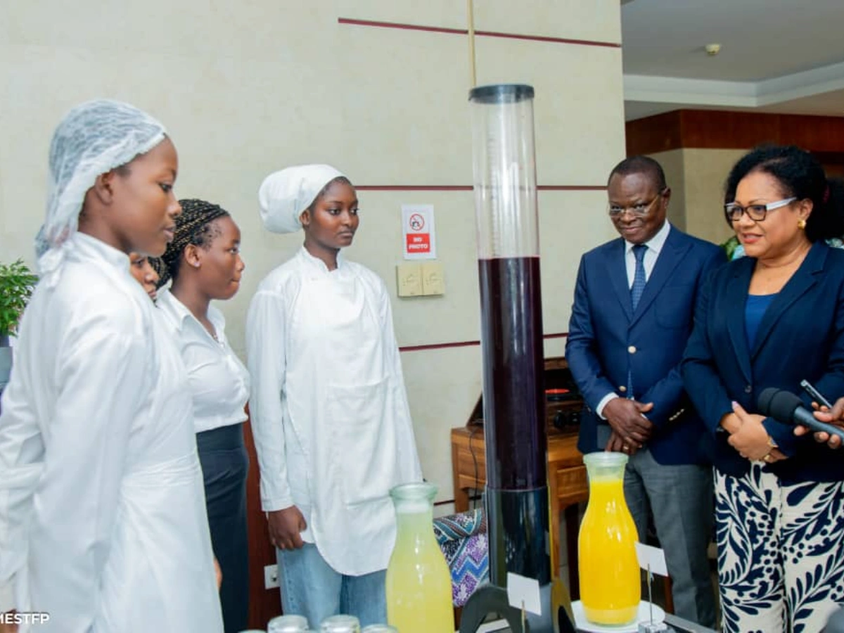 formation technique au bénin véronique tognifodé