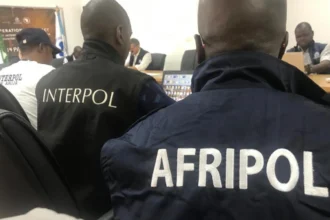 interpol cyberarnaque