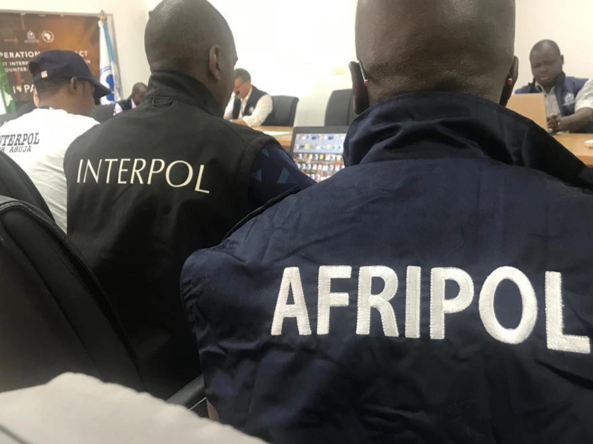 interpol cyberarnaque