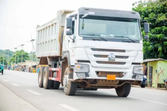 grand nokoué des poids lourds