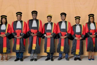 les démocrates cour constitutionnelle