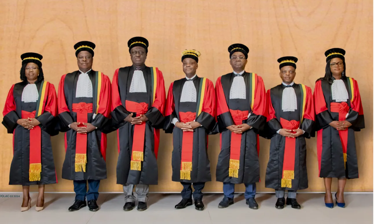 les démocrates cour constitutionnelle
