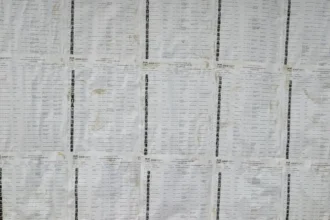 affichage liste électorale réactions béninois