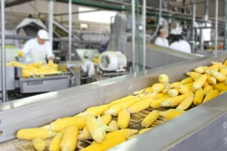 agro-industrie bénin nouveaux pôles économiques