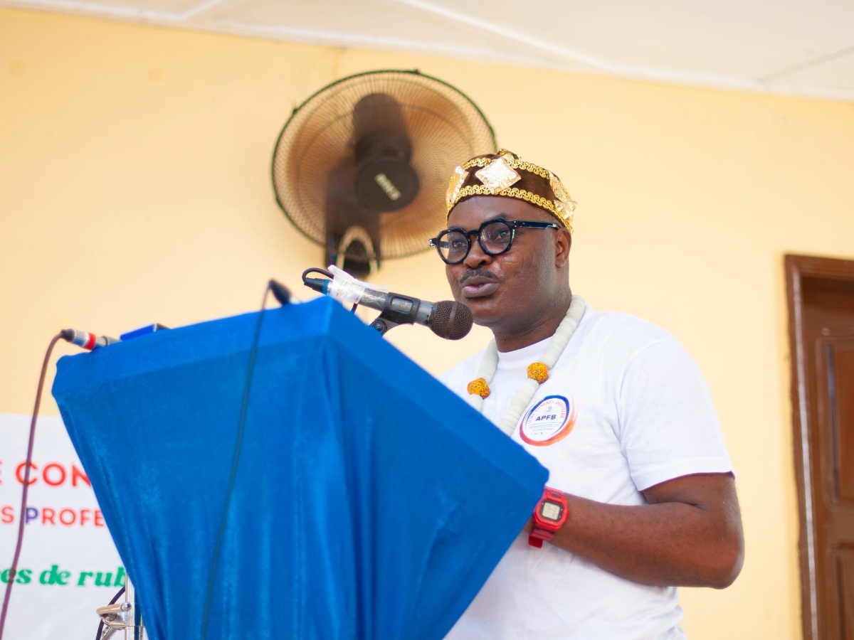 association des professeurs de francais du bénin