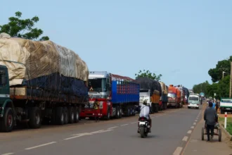frontière bénin niger