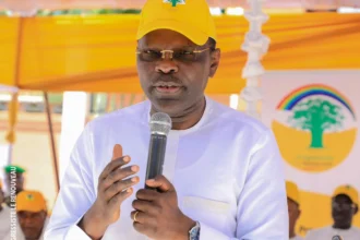 législatives 2026 upr