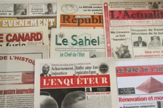 arrestation journalistes niger