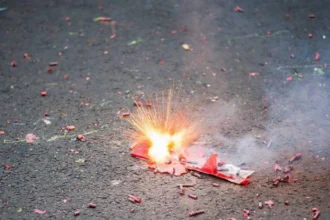 saisie tonne pétards bénin