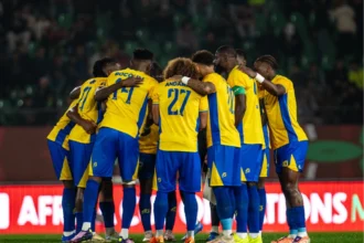 panthères gabon dissous