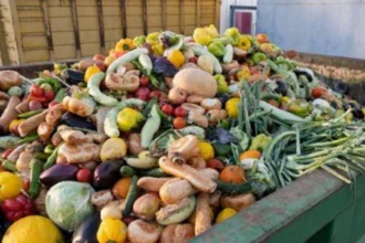 gaspillage alimentaire mondial