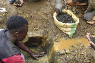 libération or perma bénin